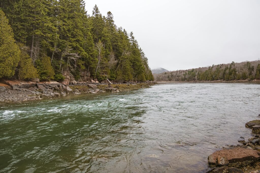 Acadia National Park, Maine