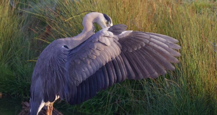 everglades national park florida 2