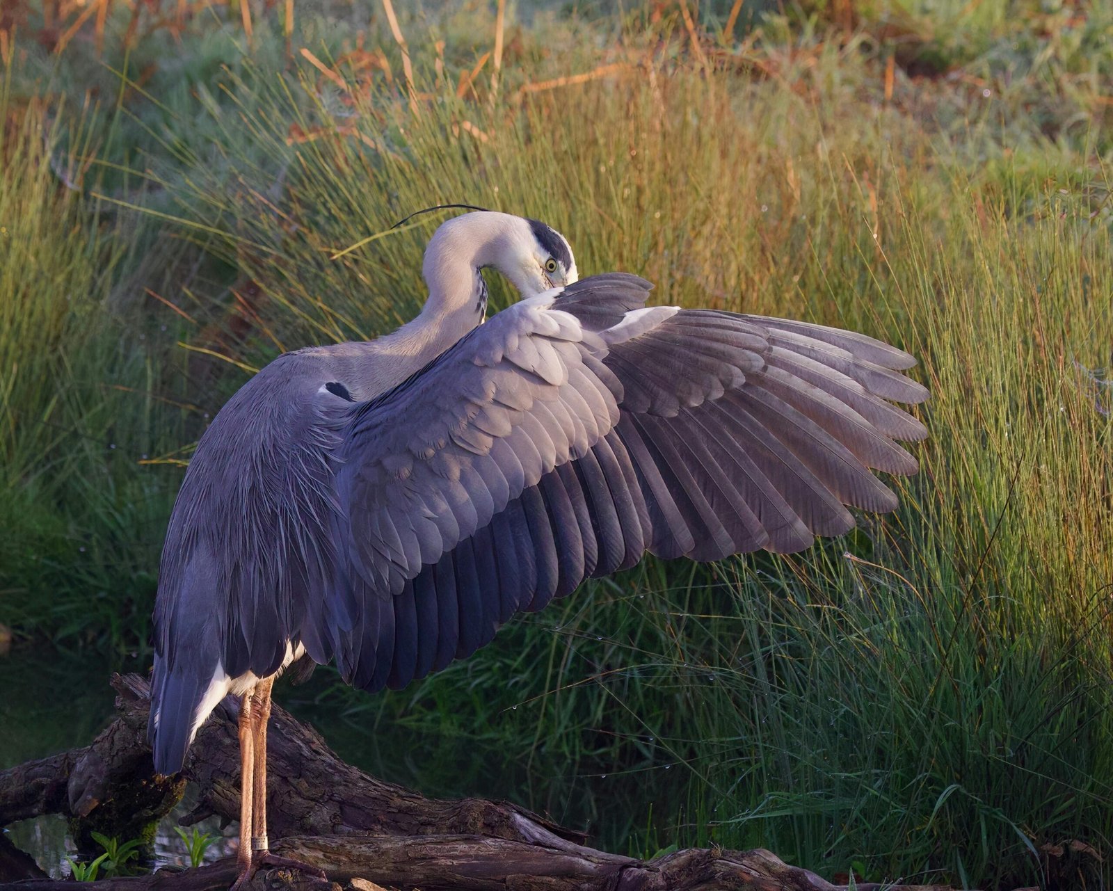 everglades national park florida 2 scaled